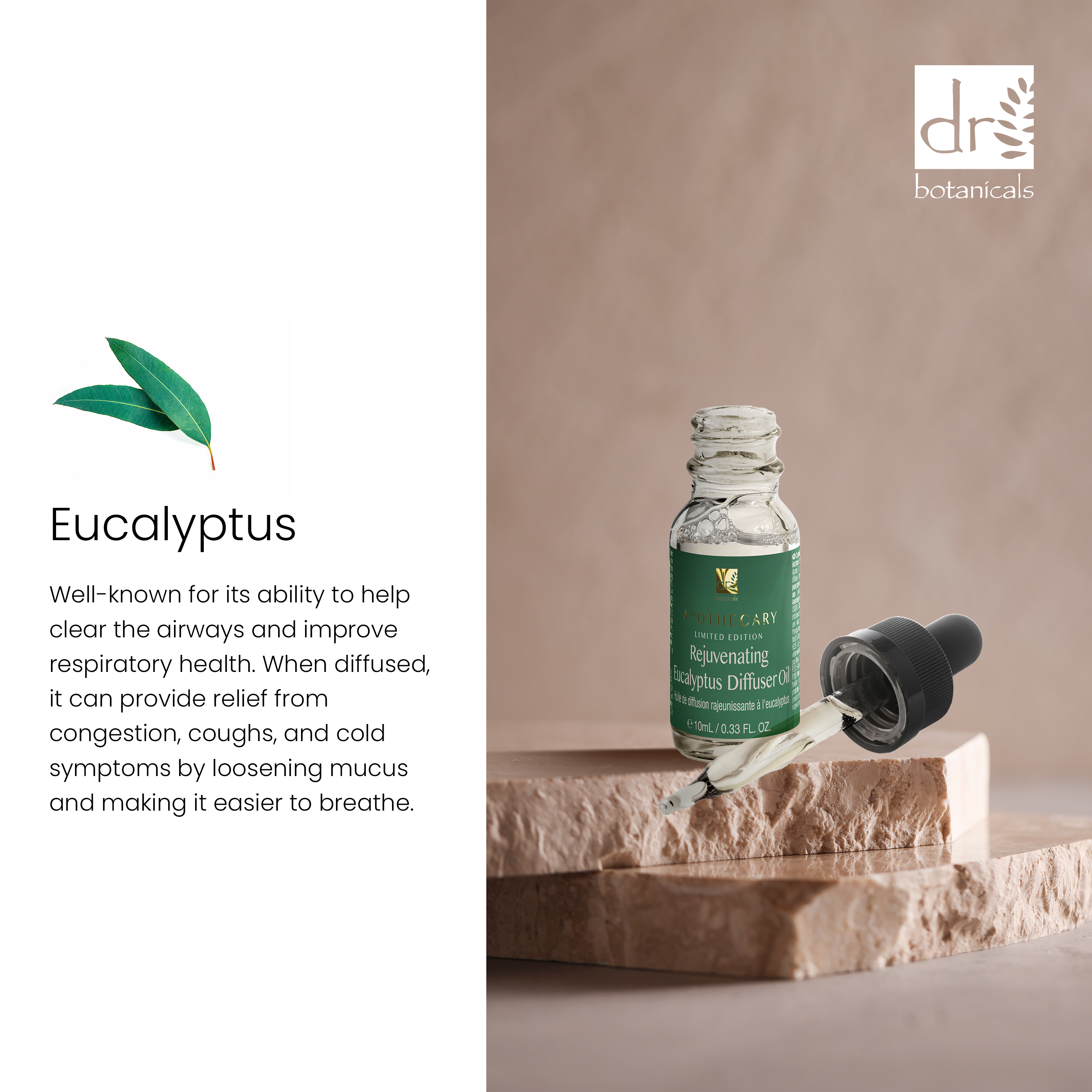Rejuvenating Eucalyptus Diffuser Oil 10ml