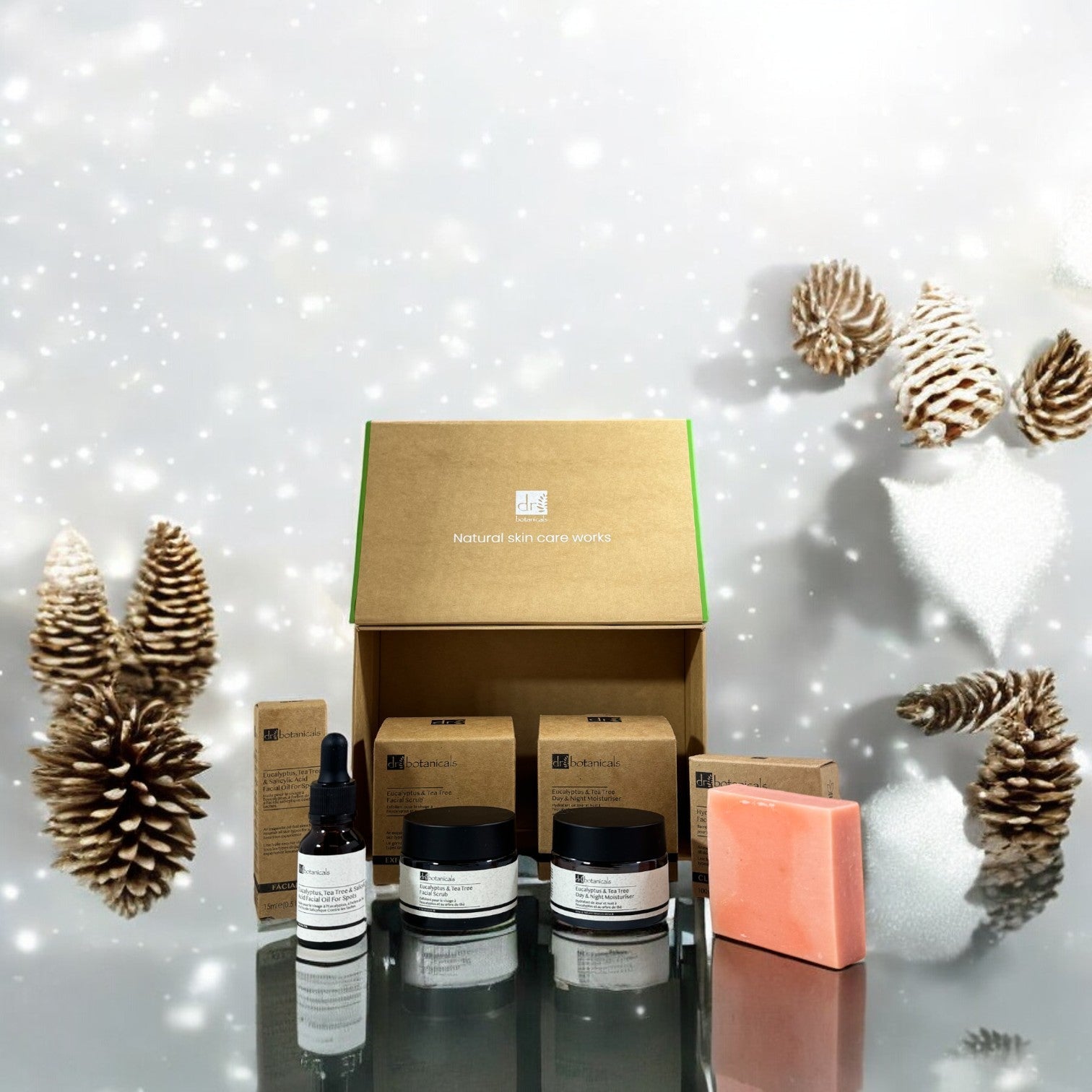 Dr Botanicals Anti-Ageing Eucalyptus & Tea Tree Skincare Winter Season Gift Set